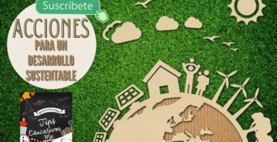 Implementa estas 10 Acciones Sustentables en tu Escuela