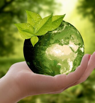 Fomentando la conciencia ecológica dentro del hogar