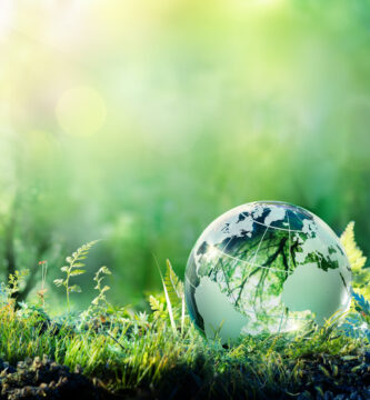Vida Saludable: Un Camino hacia el Bienestar Personal y Planetario