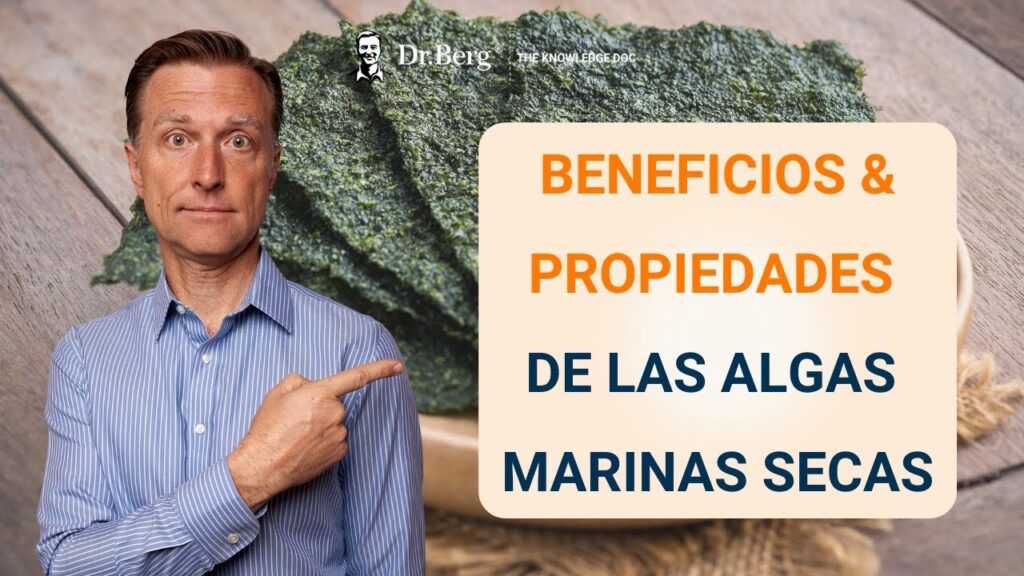 Beneficios y Contraindicaciones de las Algas Marinas Explicados