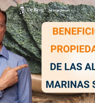 Beneficios y Contraindicaciones de las Algas Marinas Explicados