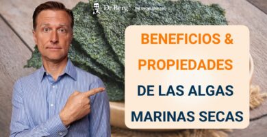 Beneficios y Contraindicaciones de las Algas Marinas Explicados