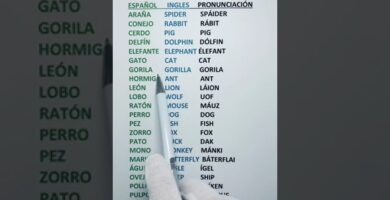 Descubriendo Animales con Nombres Largos: Guía Exhaustiva e Interesante