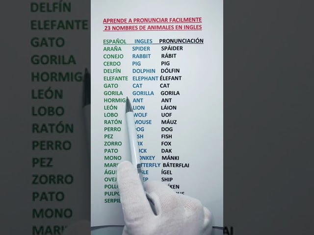 Descubriendo Animales con Nombres Largos: Guía Exhaustiva e Interesante 1 Descubriendo Animales con Nombres Largos: Guía Exhaustiva e Interesante