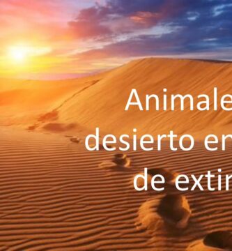 Animales en Peligro de Extinción del Desierto: Realidades Alarmantes