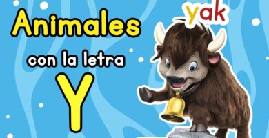 Explorando Animales que Empiecen con la Letra Y: Guía Definitiva