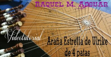 Descubriendo la inusual araña de 4 patas 4 Descubriendo la inusual araña de 4 patas