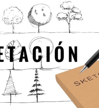 Arquitectura y Árboles: Fusionando Naturaleza con Diseño