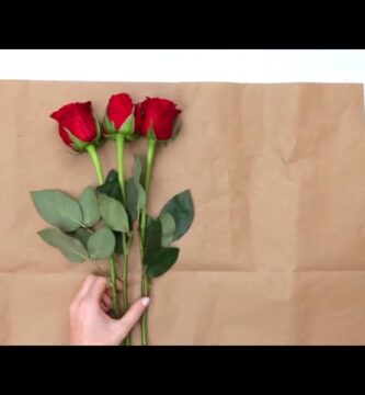Guía paso a paso para arreglos de rosas sencillos