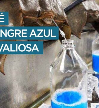 Uso del Color Azul en Cuidados para Animales