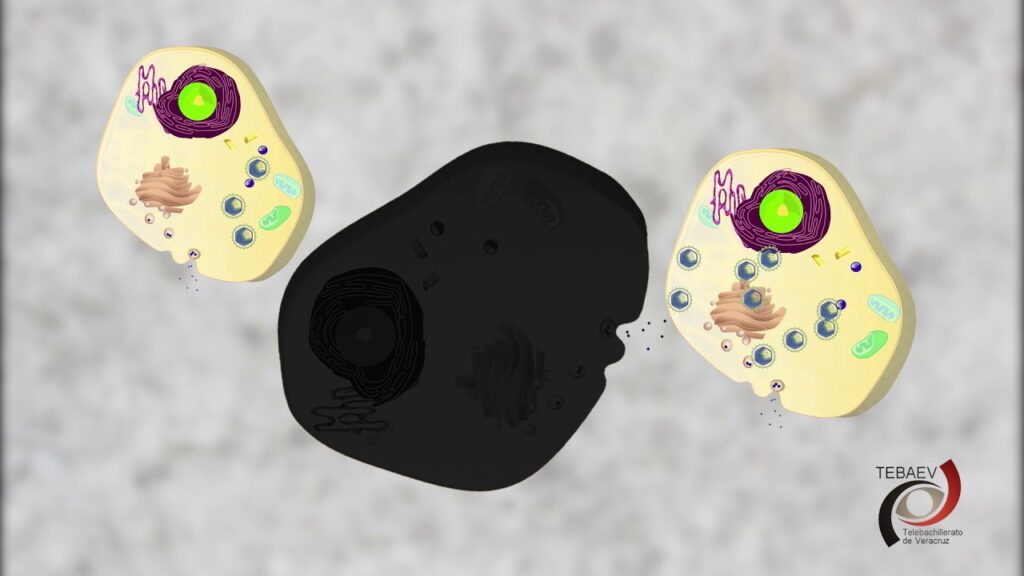 Descubriendo el fascinante mundo de la Bacteriología y Virología 1 Descubriendo el fascinante mundo de la Bacteriología y Virología