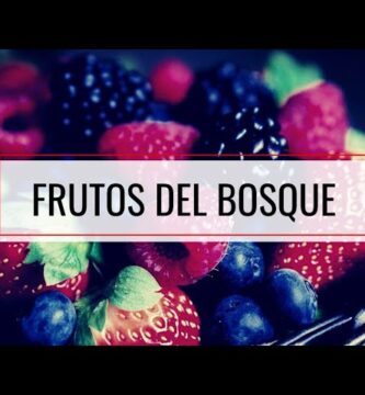 Descubre la baya roja, preciado fruto del bosque