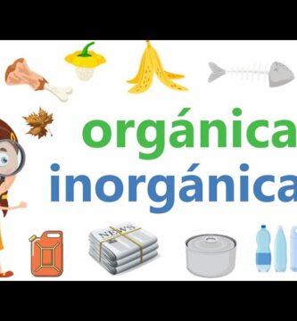 Guía Completa sobre Botes de Basura Orgánica e Inorgánica