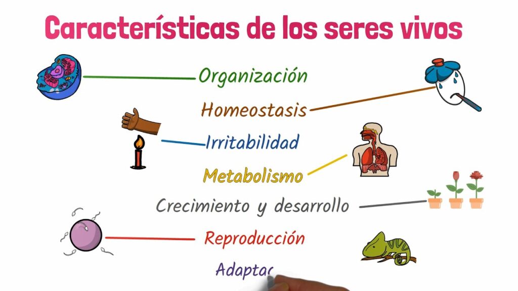 Detalles Sobre Características de Seres Vivos PDF 1 Detalles Sobre Características de Seres Vivos PDF