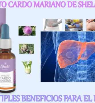Beneficios y usos del Cardo Mariano Shelo Nabel
