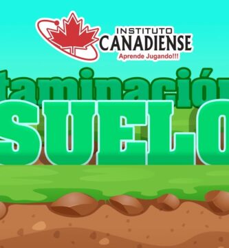 Guía de Coloreado Educativo sobre la Contaminación del Suelo
