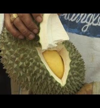 Descubriendo Diferencias y Similitudes entre Durian y Yaca