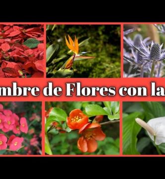 Explorando Flor o Fruto con la Letra E: Guía Completa