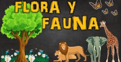 Explorando la Flora y Fauna Propia Única 4 Explorando la Flora y Fauna Propia Única