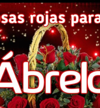 La Belleza de las Flores Rojas en Ramo: Guía Completa
