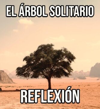 Descubre la Frase Bonito Árbol de la Vida Ideal
