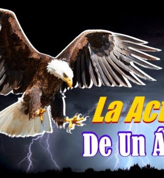 Despliega Tus Alas: Frases de Águilas Fuertes Inspiradoras