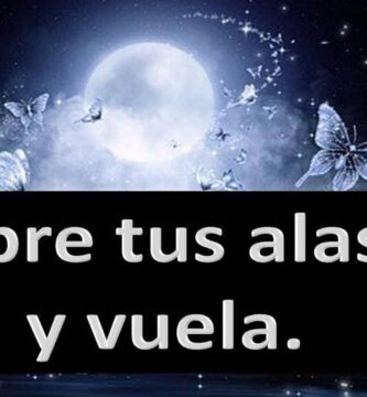 Descubre Inspiradoras Frases de Alas para Elevar tu Espíritu
