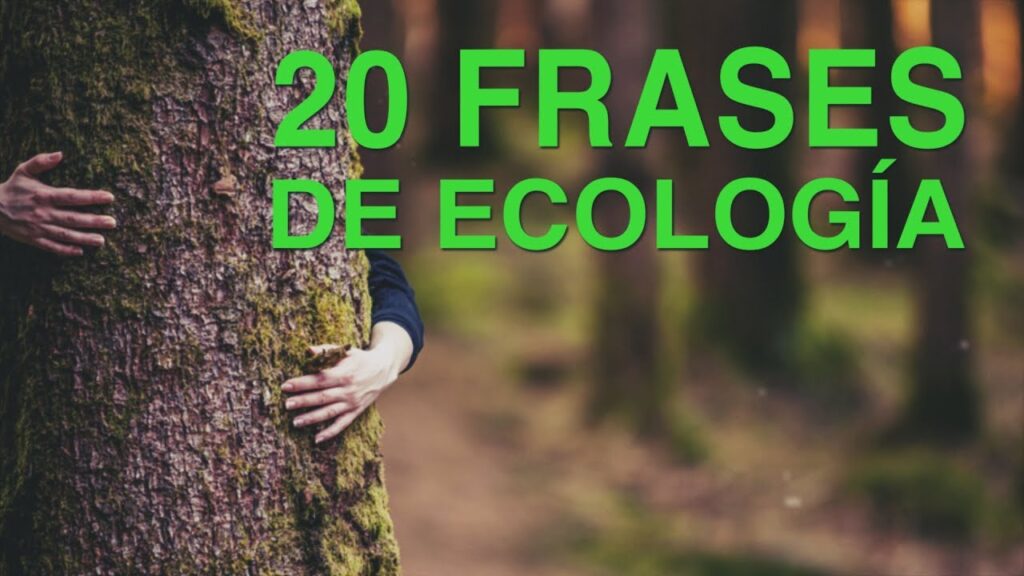 Top 10 frases de sustentabilidad para impulsar eco-conciencia 1 Top 10 frases de sustentabilidad para impulsar eco-conciencia
