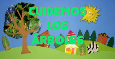Frases Divertidas para Niños sobre Cuidar Árboles