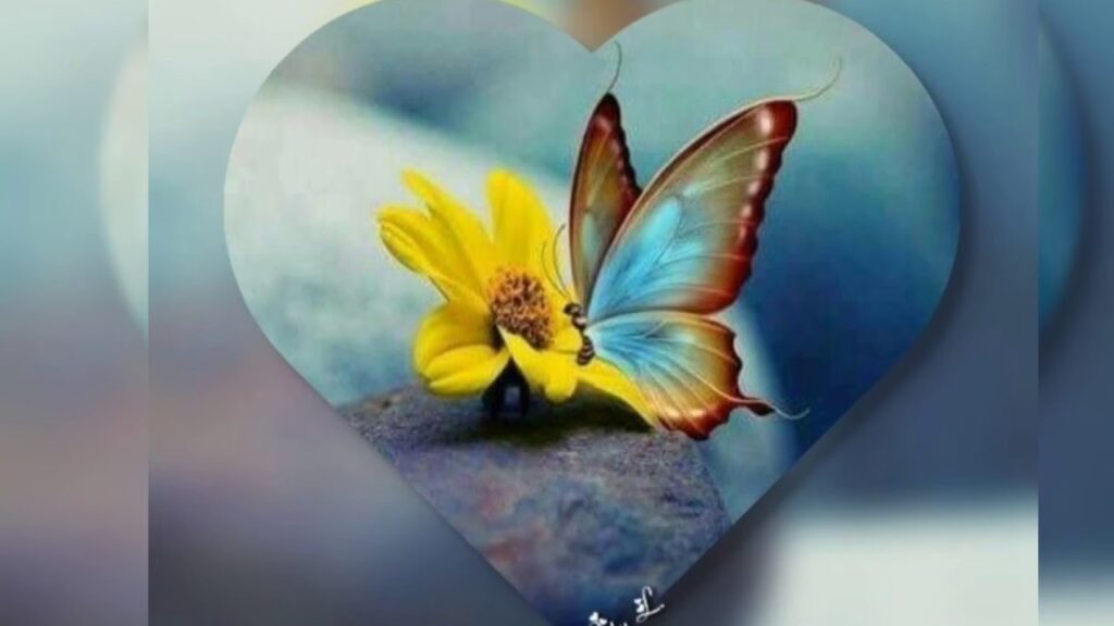 Las Mejores Frases Inspiradoras Sobre Mariposas