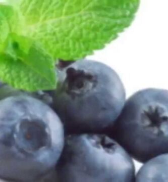 Descubriendo los Nombres de Frutas Moradas Exóticas
