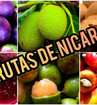 Descubriendo la Fruta Verde por Fuera y Rosa por Dentro