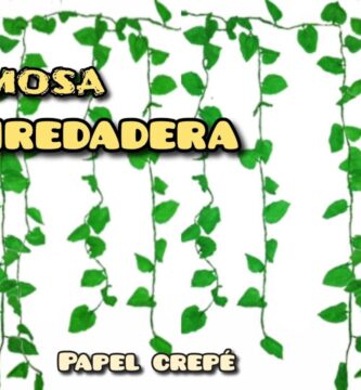 Guía Completa de Hojas Verdes Beneficiosas