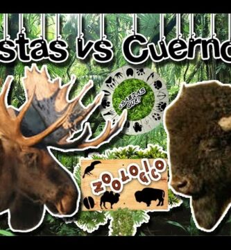 Descubriendo Herbívoros con Cuernos Huecos: Guía Completa