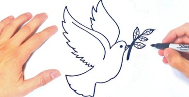 Dibujando la Imagen de la Paz: Guía Completa