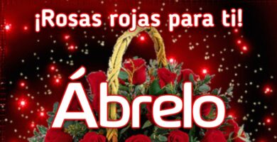 Descubre Imágenes de Flores Hermosas con Frases Inspiradoras 14 Descubre Imágenes de Flores Hermosas con Frases Inspiradoras