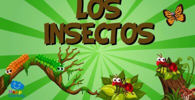Identificación y Características de Insectos con 'O': Guía Completa 10 Identificación y Características de Insectos con 'O': Guía Completa