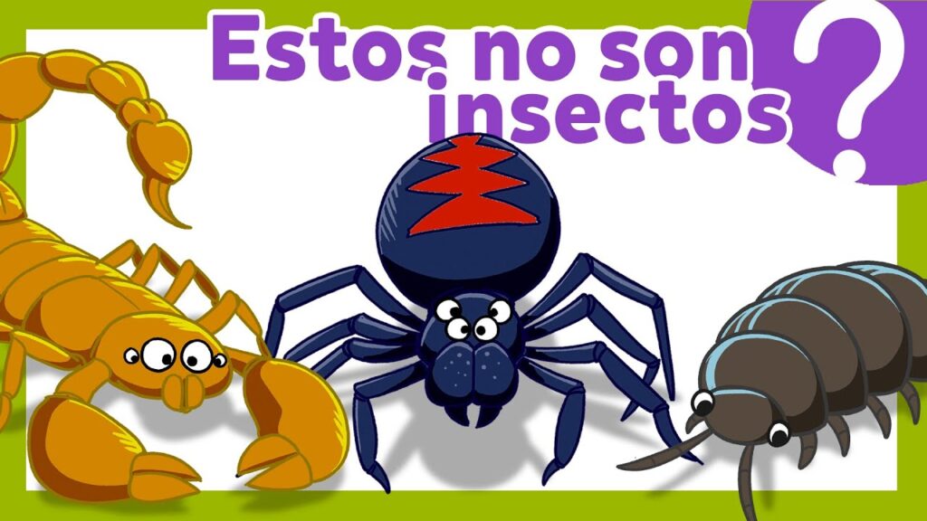 Descubriendo Insectos con U: Una Guía Completa y Fascinante 1 Descubriendo Insectos con U: Una Guía Completa y Fascinante