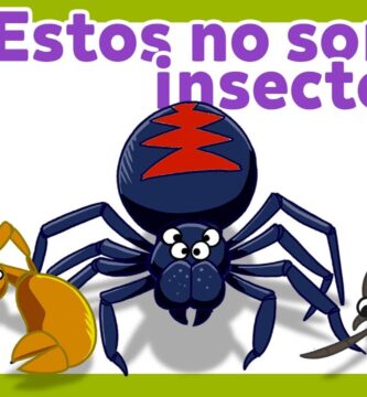 Descubriendo Insectos con U: Una Guía Completa y Fascinante