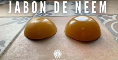Usos y Beneficios del Jabón Neem Explorados 5 Usos y Beneficios del Jabón Neem Explorados