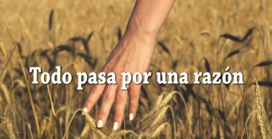 Frases Emotivas: Las Cosas que Pasan por el Corazón
