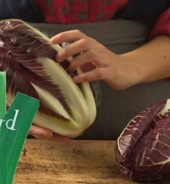 Beneficios Nutricionales y Cultivo de la Lechuga Radicchio