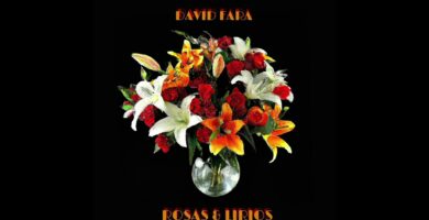 Cuidados Esenciales para Cultivar Hermosos Lirios Rosas en Casa 12 Cuidados Esenciales para Cultivar Hermosos Lirios Rosas en Casa