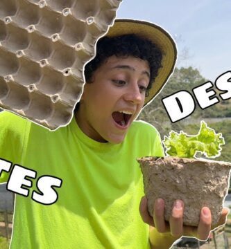 Descubre las Mejores Macetas Ecológicas para tu Jardín