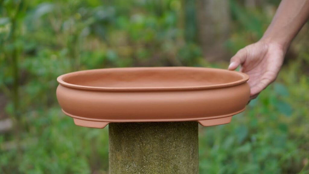 Guía Esencial: Elegir Macetas para Bonsai Adecuadas 1 Guía Esencial: Elegir Macetas para Bonsai Adecuadas