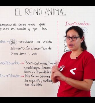 Creación de un Mapa Conceptual del Reino Animal Detallado