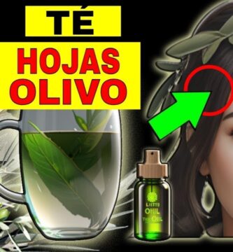 Beneficios y Cuidado de la Hoja Olivo