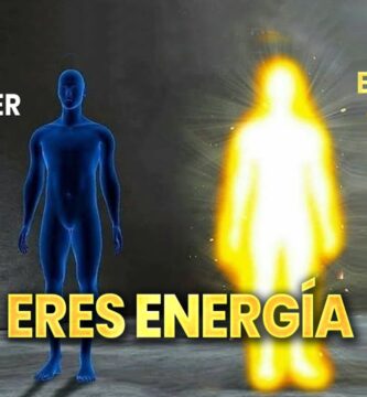 Organismos que Requieren Mucha Luz para Vivir