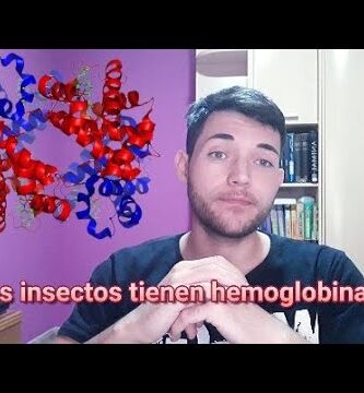 Descubriendo el Órgano de Puesta de Huevos en Insectos