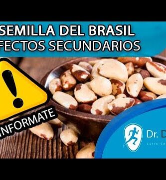 Contraindicaciones del Palo de Brasil: Información Esencial